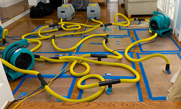 Professional Structural Drying And Dehumidification technician working in Richland, GA